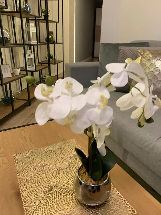 Moderno Apartament Krakow 0*,